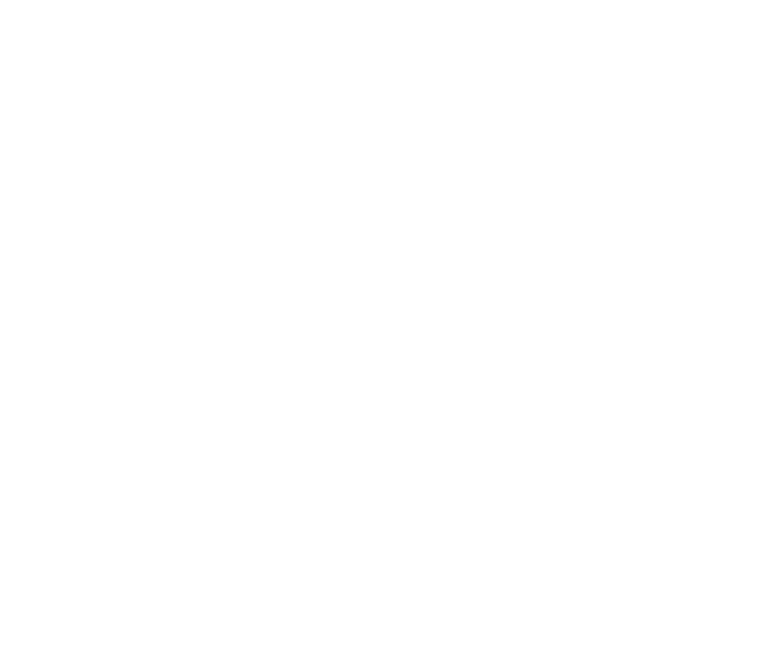 ASS INTERNATIONAL SERVICES Logo